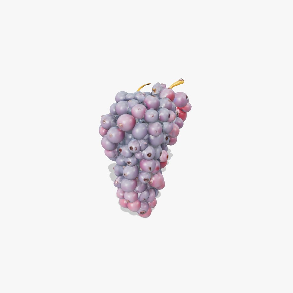 Giant Grape Bunch Model Pack